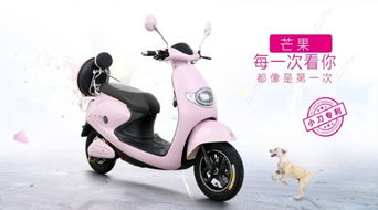 电动车产品五花八门,如何挑选质量好的电动车品牌