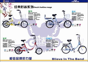 一个电动车企业的产品画册